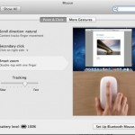Lion_mouse_system_preference