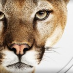 Picture of a Mountain Lion